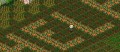addicted-to-farmvilleBIG