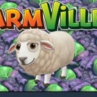 farmville 2 counting sheep