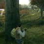 DayZ