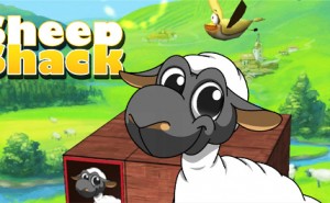 detail-sheep-002