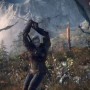 Witcher
