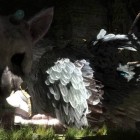 the last guardian screenshot
