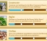 List of City of Wonder Honors (Achievements) thumbnail