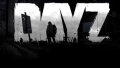 dayZ cover