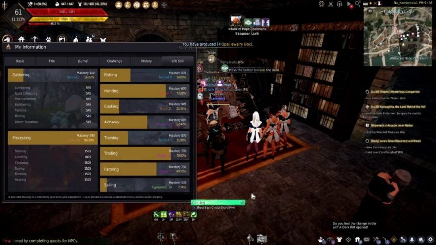 Black Desert Online