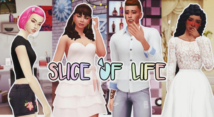 the slice of life