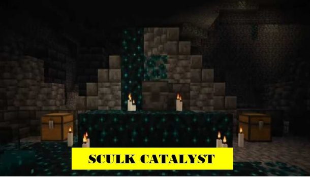 Sculk-catalyst