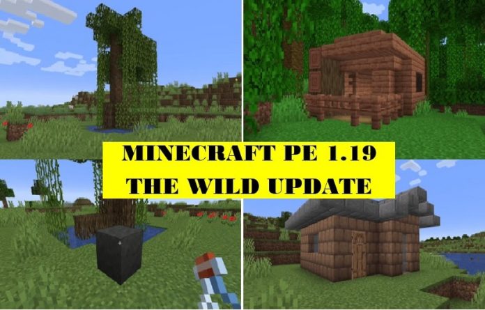 Minecraft 1.19.10, 1.19.0 and 1.19 Download