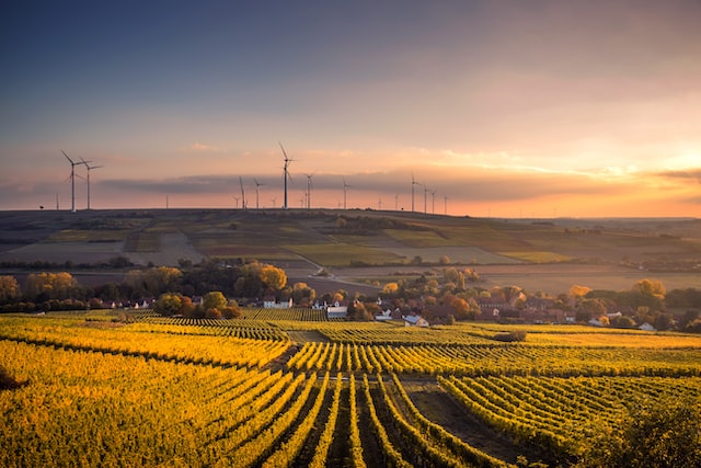 A beautiful farm with sunshine.