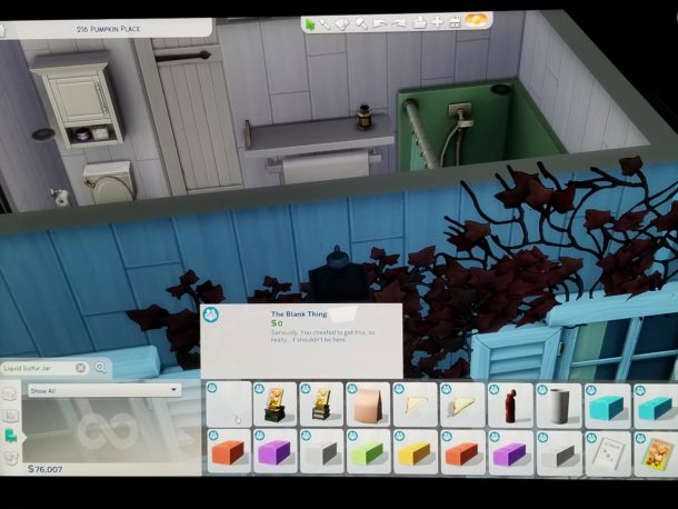 Hidden Items in Sims 4