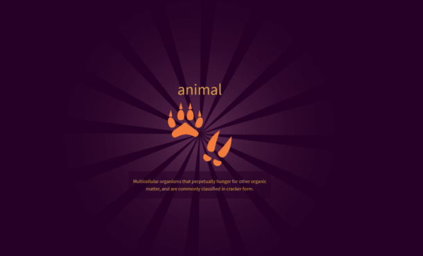 Animal