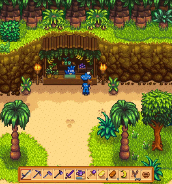 Starfish Are on Ginger Island in Stardew Valley
