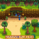 Starfish Are on Ginger Island in Stardew Valley