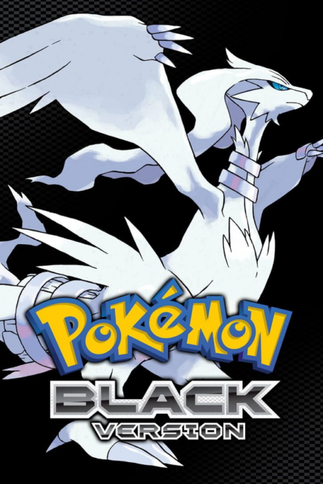 Pokemon Black and White 