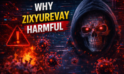 Why Zixyurevay Harmful Understanding the Risks