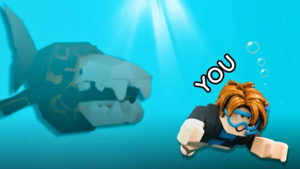 Fish Pond Codes