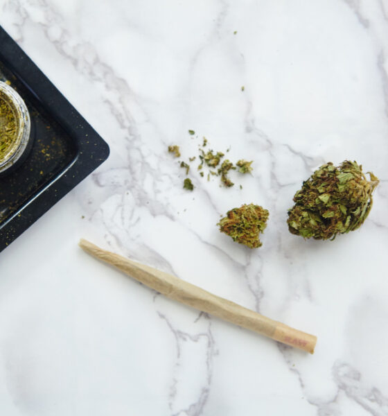 THCA Pre-Rolls