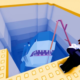 Roblox Own a Fish Pond Codes