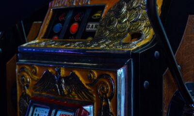 Digital Casino Experience