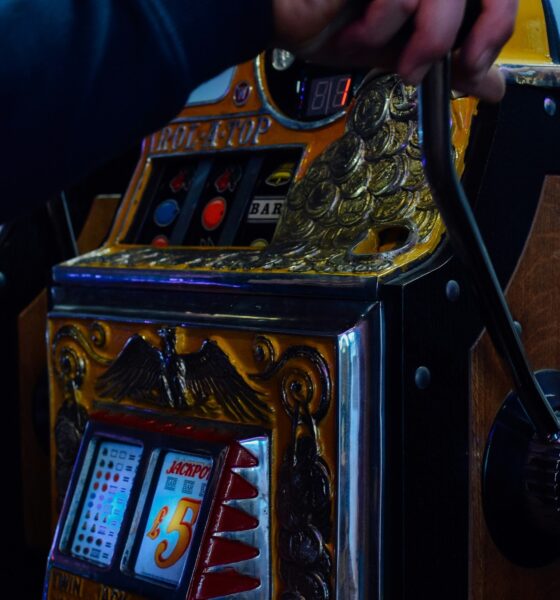 Digital Casino Experience
